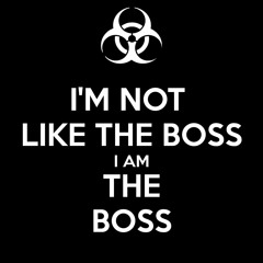 BOSS (Original mix)