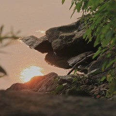 Slip - Elliot Moss (Cover)