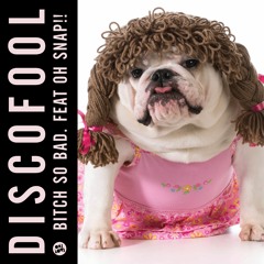 Discofool – Bitch So Bad (Noy Remix) / Trap Sounds Exclusive