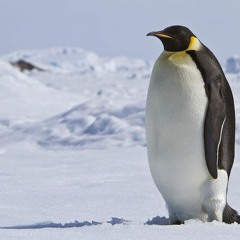 John Mayer   Vultures (Slowed)