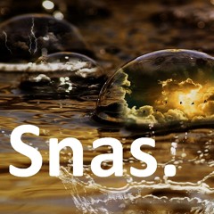 Change My Mind - Snas. (feat. Dikaiko)