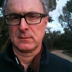 Dr Charles Green: 'Biennalisation' (Maynce Centre Lecture 2011)