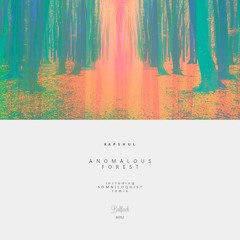 Kapshul - Anomalous Forest (Somniloquist Remix) Cut
