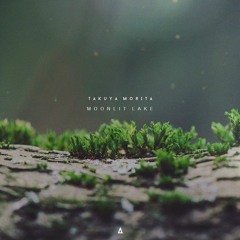 Takuya Morita - Moonlit Lake | Audub Remix