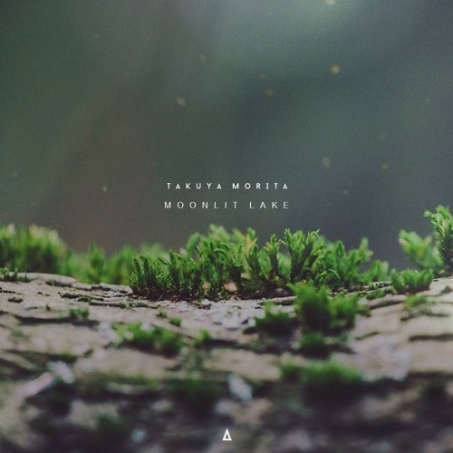 Takuya Morita - Moonlit Lake | Audub Remix