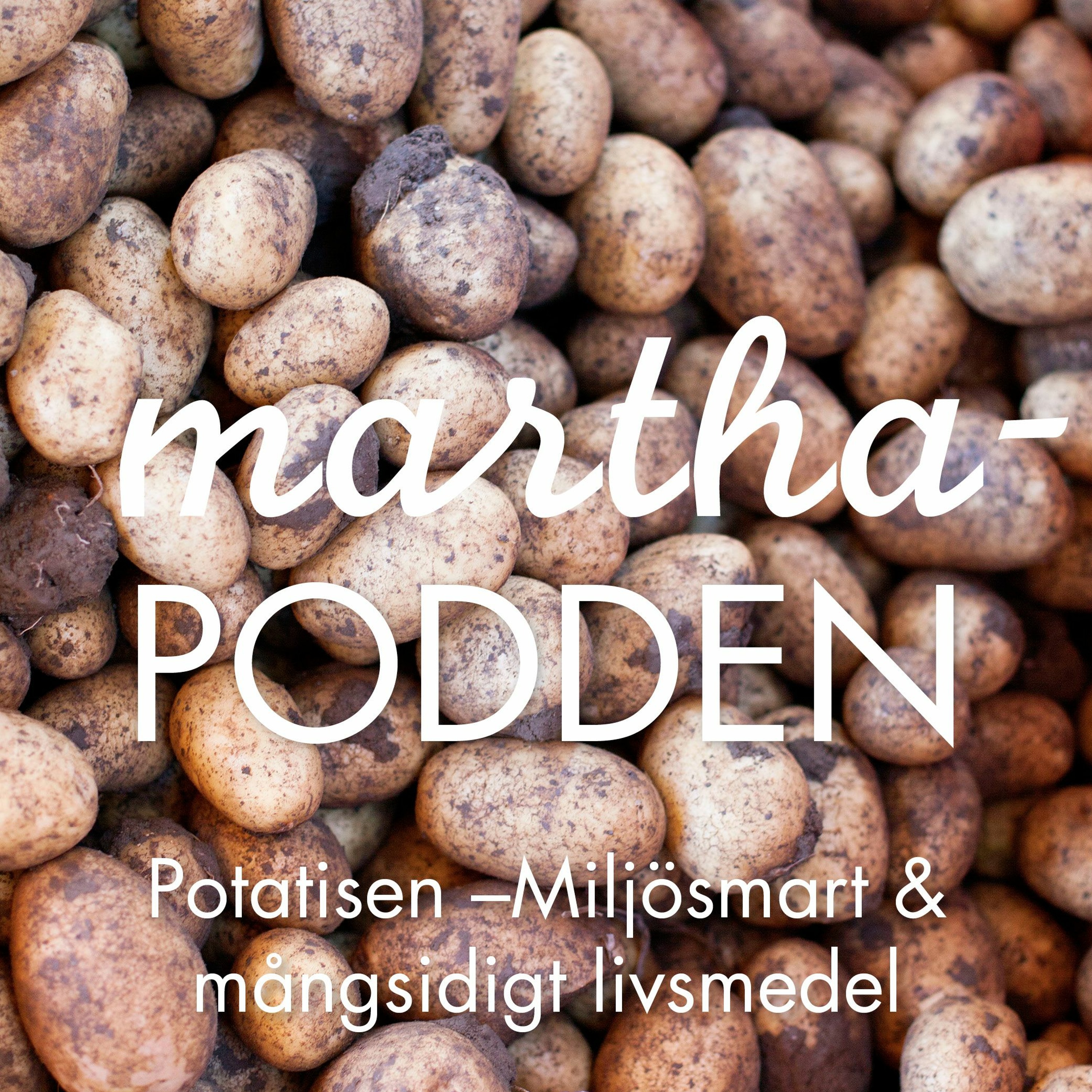 Marthaförbundet