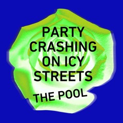 Party Crashing On Icy Streets (instrumental)