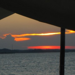 deep vibes beach sunset