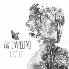 Artenvielfalt - Luv It (Curry & Krawall Rmx)_SNIP