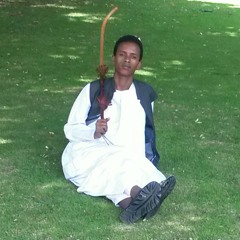 Bilen  at Eritrean music bilen