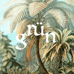 Grüner Wird's Nicht