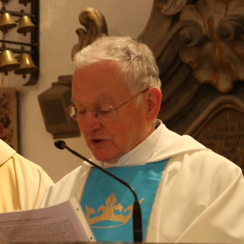 Stream Bistum Regensburg Listen to Pater Winfried Wermter im