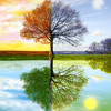 Season of Winter In Memory of George McGhee