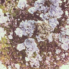 SHM Podcast #40: Shosenkyo by Adzuki