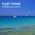 Artwork for Fleet Foxes - Mykonos (Oscar OZZ Edit)