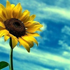 2015.10.24 The Shilla Duty Free Fan Festival With TVXQ MAX Changmin Letter