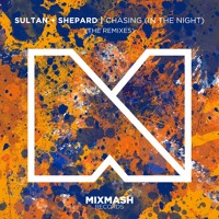Sultan + Shepard - Chasing (In The Night) (Ft. Lauren Mason)