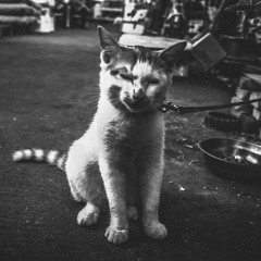 CLOCK J - Sand Wave (Demo Version)