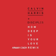 Calvin Harris & Disciples - How Deep Is Your Love (Arman Cekin Remix)