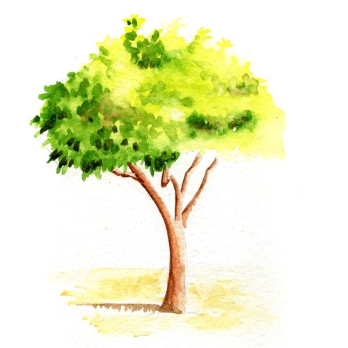 على الريق يسعد صباحه.. شيلة