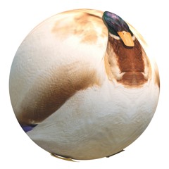 JP Enfant - Closing Chapter Home