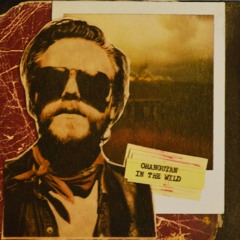 In The Wild | In The Wild | 2009