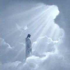 Gosta - Le Veilleur De Mes Nuits