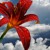 Artwork for WONDERFUL CHILL OUT MUSIC RYAN FARISH BEAUTIFUL MOMENTS