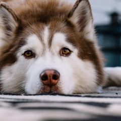 Love My Soul - Agron