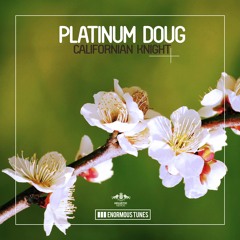 Platinum Doug - So Damn Hot (Radio Mix)