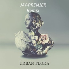 Alina Baraz & Galimatias- Can I (Jay-Premier Remix flipped)Free D/L