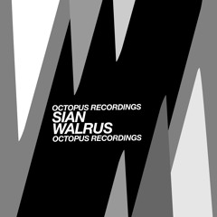 Sian - Majestic 12 Warehouse Weapon - Octopus Recordings