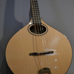 Port Orford Cedar, walnut SMALLish flat-top bouzouki
