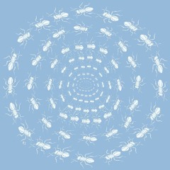 Whispercast_Episode 1—Weightless Again