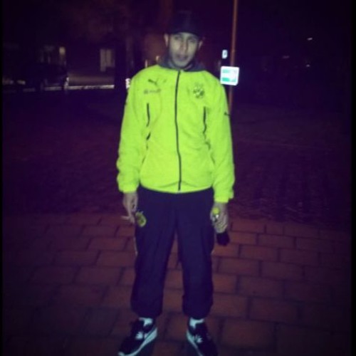 Seffelinie - Actie