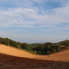 Schubert At Chortiatis or 'Hate is baggage. Life's too short to be pissed off all the time'.