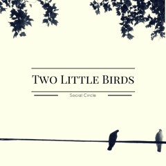 Two Little Birds