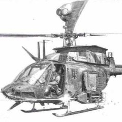 heliCHOPter