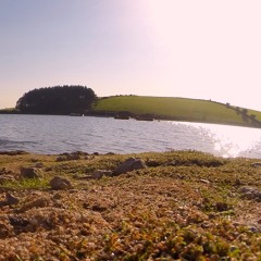 Wide Eyes, Visual Vibes