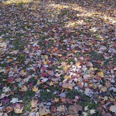 Hakan Yılmaz - Sen Yoktun (Official Audio)