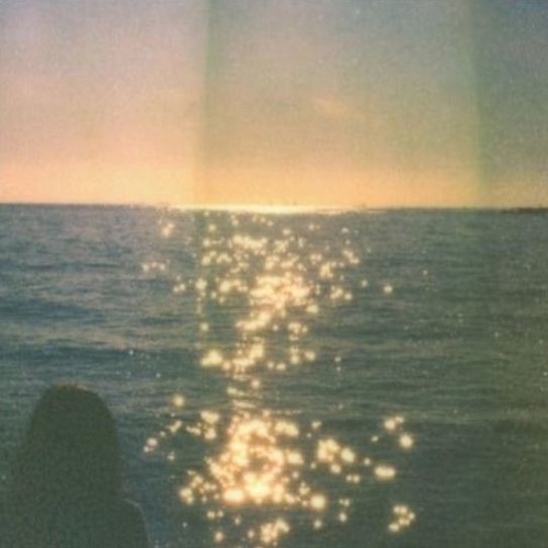 purpan. // butterflies.
