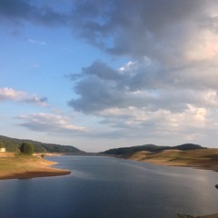 Birds On The Riverbank - D&R Ambiences