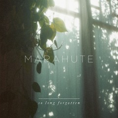 Marahute