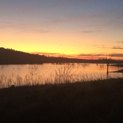 Dawn