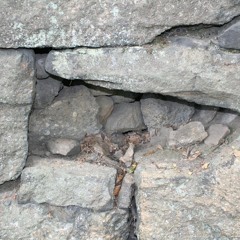 Whiskey streets verse 1