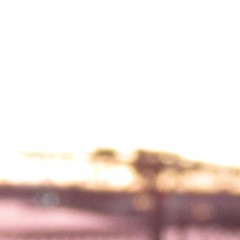 Echos Into the Ether