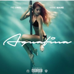 AQUAFINA FT MANE MANE (PROD BY YOUNG CHOP)