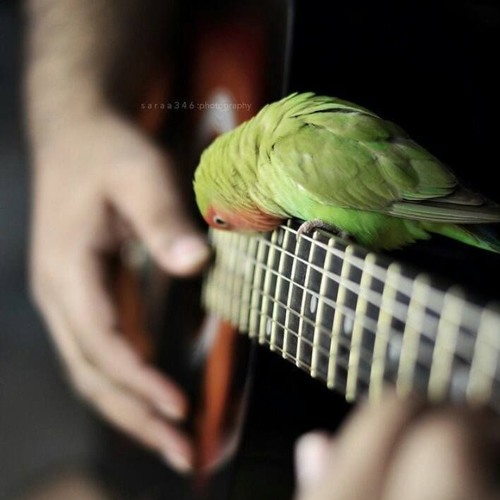 أتْقٌبُلُنْيُ بُمْآ أشُعٌر ؟ . .