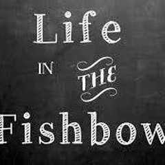 The Musical Fishbowl With Gavin Page 26.10.15