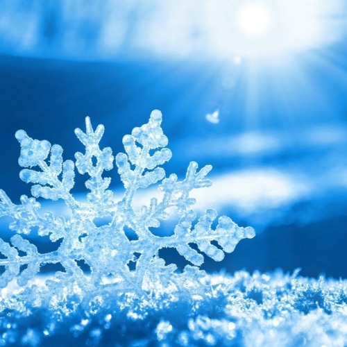 泳兒 Vincy Wong《花無雪》 [ STUDIO COVER by JAYNE TANG 鄧詠心]